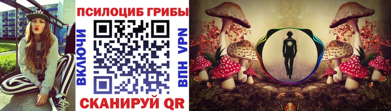 МЕГА ONION  Сураж  Псилоцибиновые грибы MAGIC MUSHROOMS 